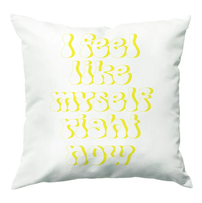 Special Discount I Feel Like Myself Right Now - Abrams Cushion