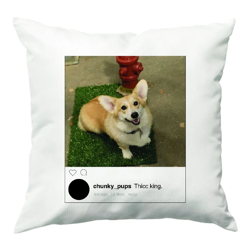 Extra Discounts Thicc King - B99 Cushion